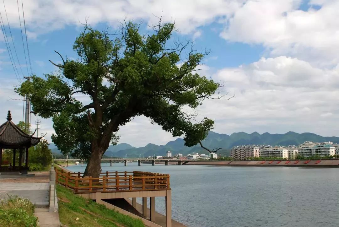 2018常山旅游大事记盘点 当我们一起走过，共绘油茶之乡新画卷